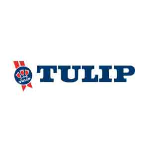 Logo Tulip. Grafikk.